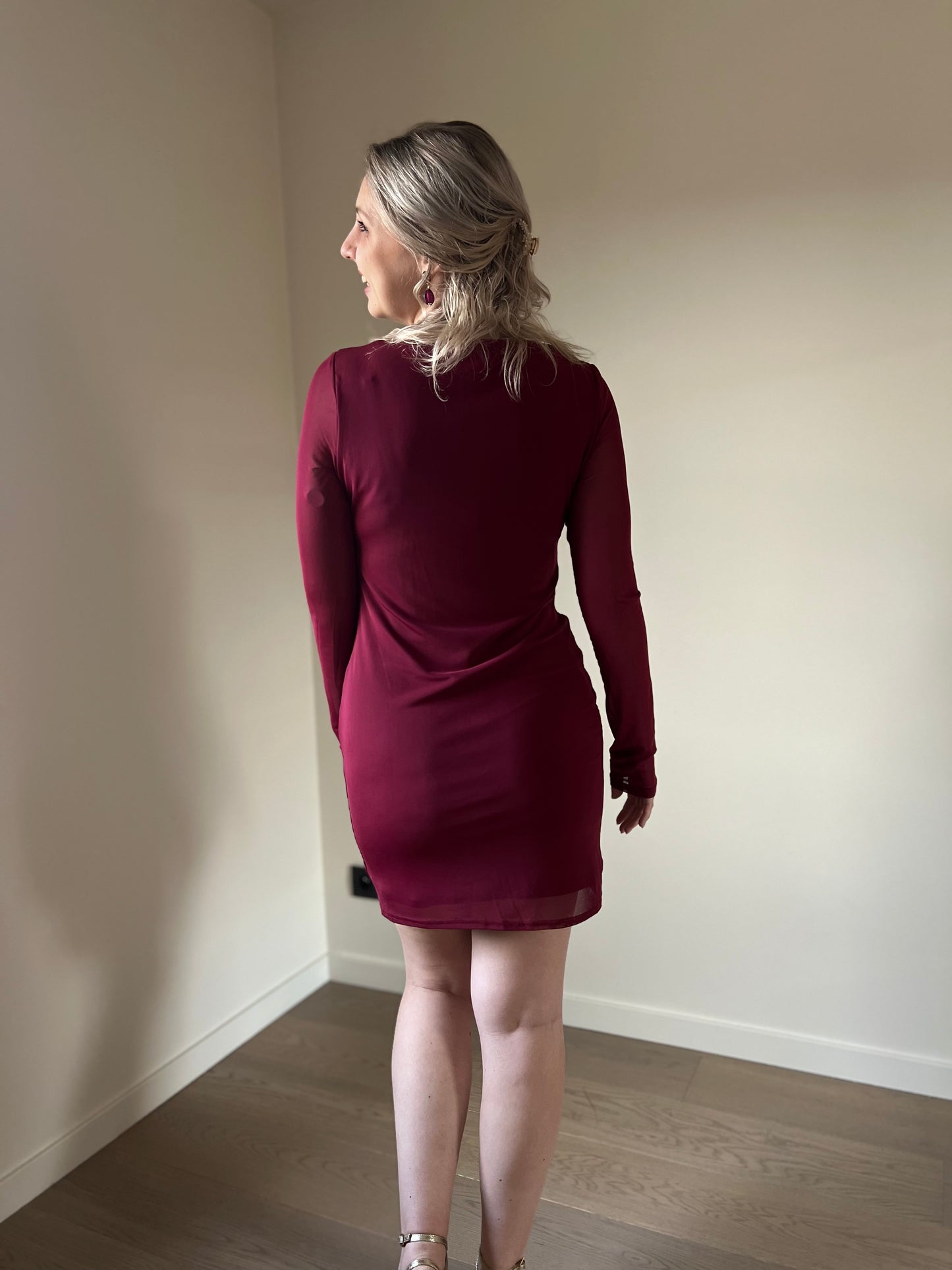 Burgundy mesh dress