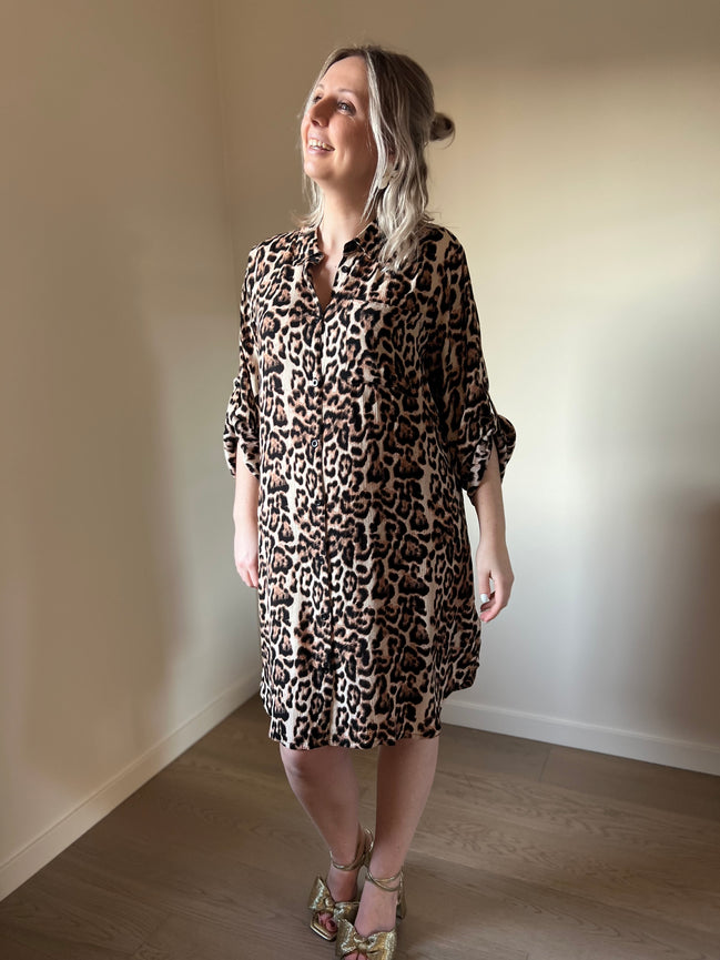 Amber shirt dress leo