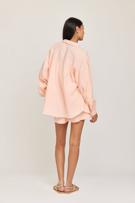 Rebecca tetra shorts