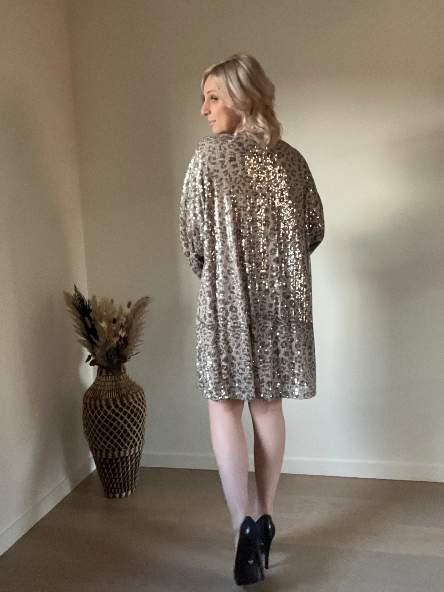 Leo sequin dress