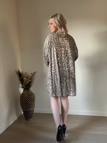 Leo sequin dress