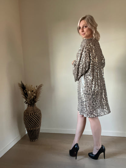 Leo sequin dress